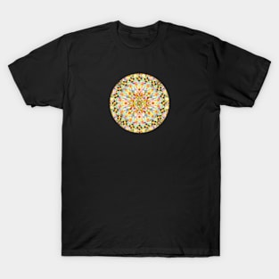 Pink Carousel Mandalas T-Shirt